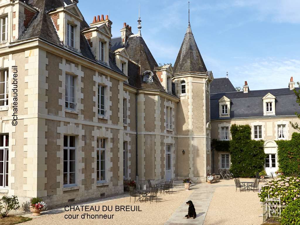 Chateau Du Breuil Шеверни Экстерьер фото