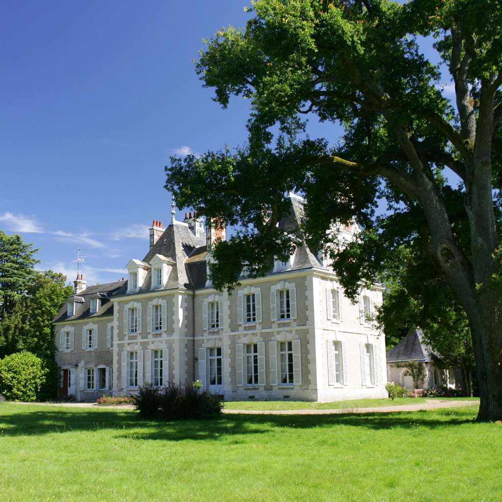 Chateau Du Breuil Шеверни Экстерьер фото